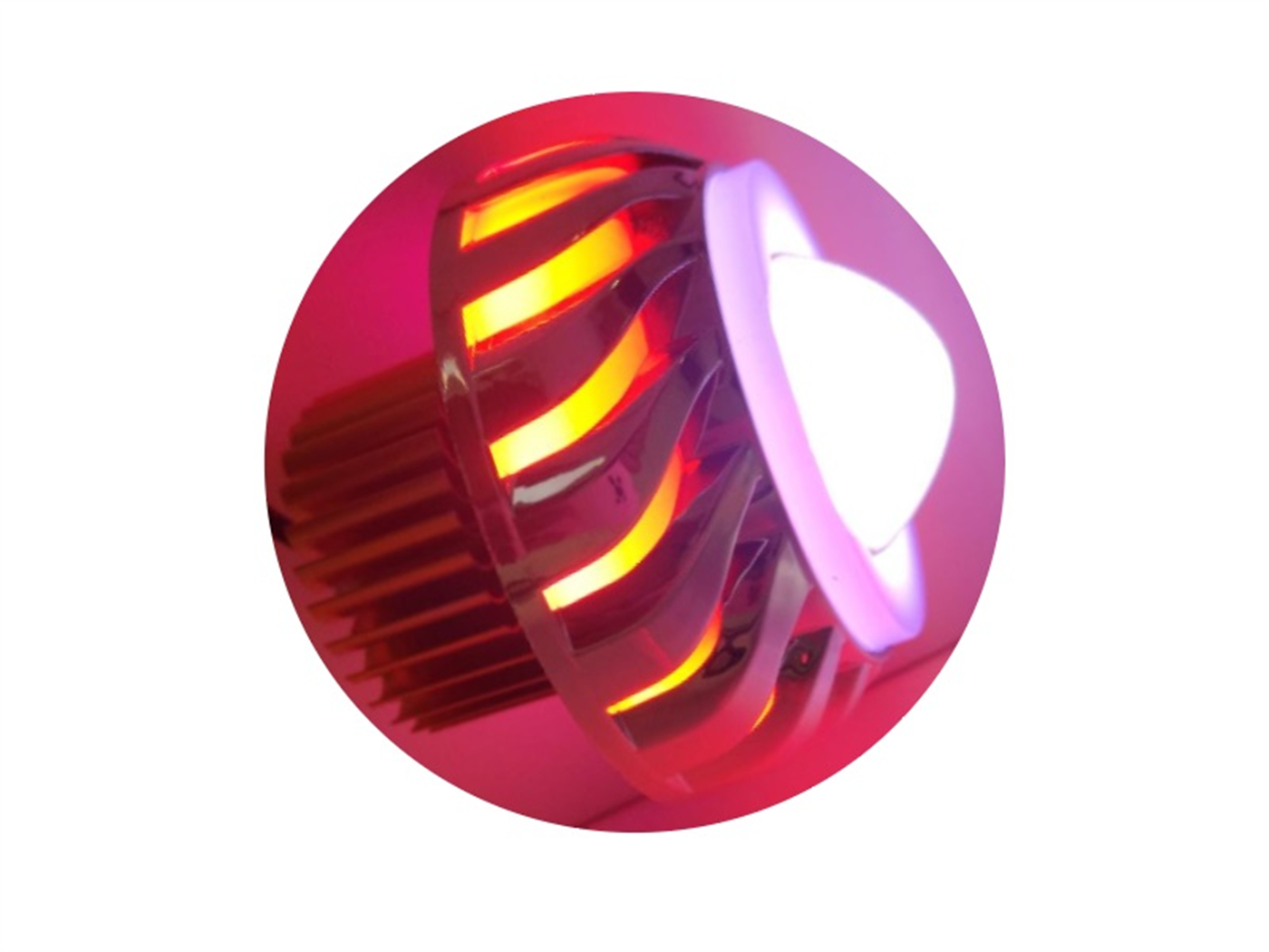 OJO DE DIABLO GRANDE BL+RJ C/ARG.Y CORT.SXF-YX