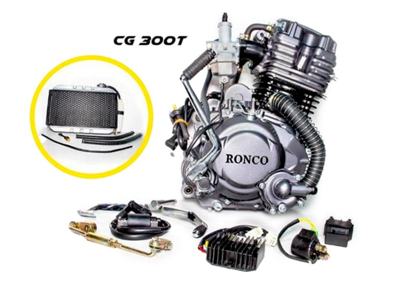 MOTOR COMPLETO 300CC RONCO