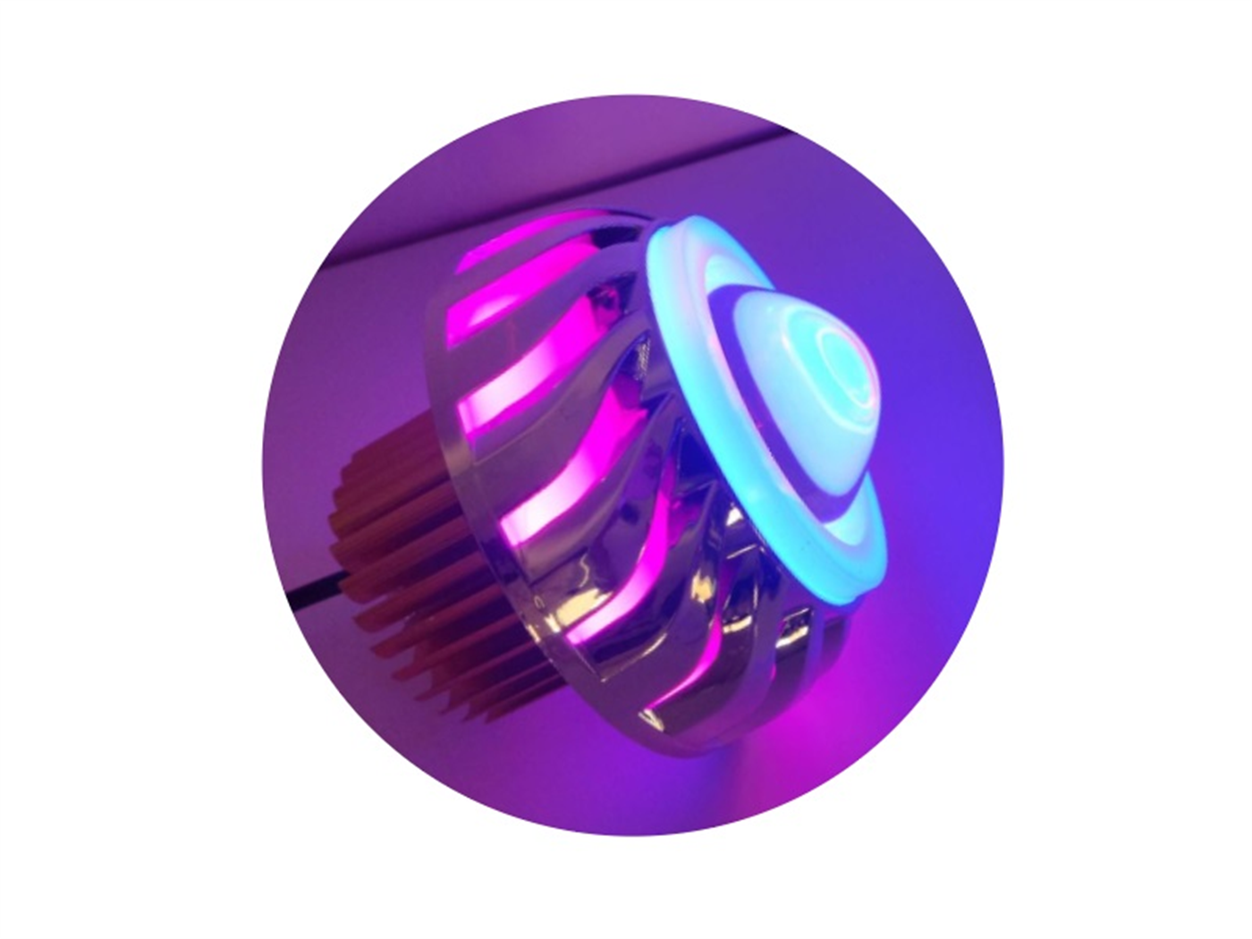 OJO DE DIABLO GRANDE LILA+AZ  C/ARG.Y CORT.SXF-YX