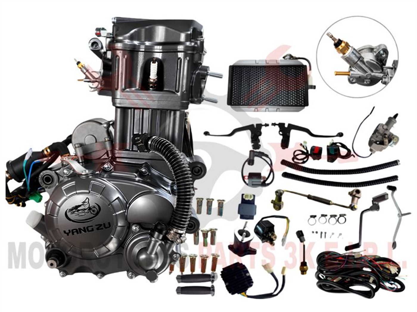 MOTOR (ZS) EJE LARGO VARILLERO AGUA C/RADIADOR ALUMINIO Y ACCESORIOS(250CC,67MM)(M.DELGADA)(ESP.10MM)GRIS 